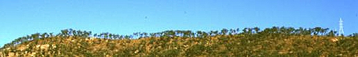 Click to enlarge - Savanna and blue skies of Mount Stuart