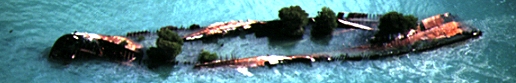 Shipwrecked barge with mangroves growing from within - Magnetic Island