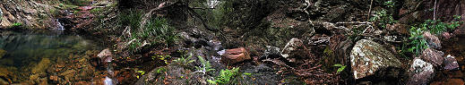 Creek in Bluerwater Gorge