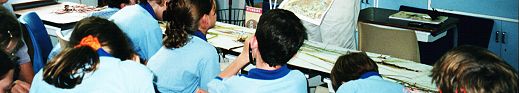 Belgian Gardens School class learns about biodiversity on Castle Hill