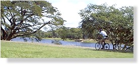 Ross River Parkway