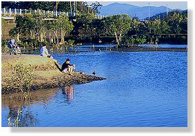 Family fishing on the shore of the Ross River - Townsville city, Bowen road bridge