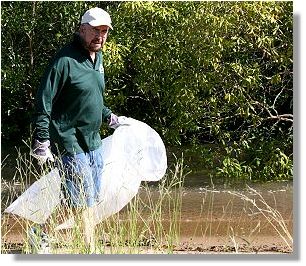 Previous Townsville Mayor Cr. Tony Mooney  cleaning up on Australia Day 2006