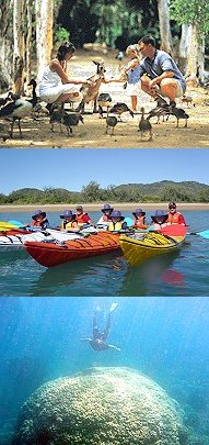 TOWNSVILLE ECOTOURISM OPERATORS, Billabong Sanctuary (top), Magnetic Island Sea Kayaks (center), Pro Dive Townsville (Bottom)