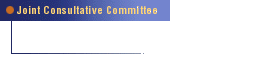 Joint Consultative Committee