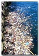 Pollution in Sydney Harbour (source: ANT Photo Library)