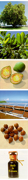 Stages in production