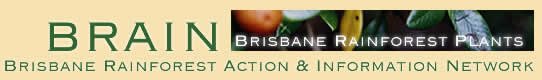 BRAIN was established in 1995 as a bushcare group sponsored by the Brisbane City Council.