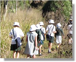 Bush Tucker Trail Guided Tour, July 2007