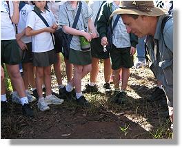 Examining animal footprints