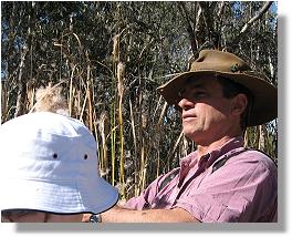 Investigating the bullrushes (Typha)