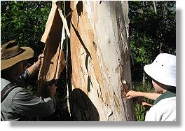 School students participating in a guided field trip.