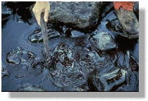 Oil spill
