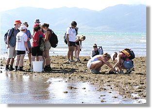 Rowes Bay Intertidal Zone interpretative Walk