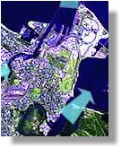 Visit Townsville Stormwater Management site