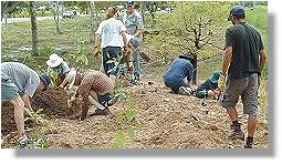 Community Greening