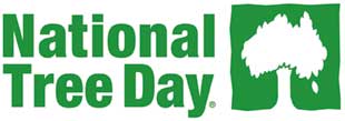 Get involved with National Tree Day in Townsville.