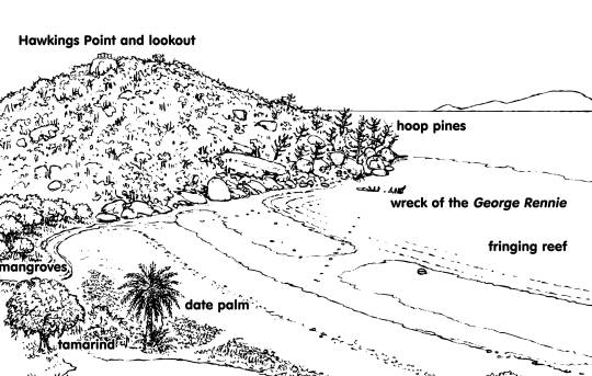 Hawkings Point