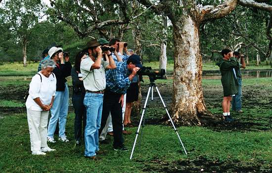 Birdwatchers