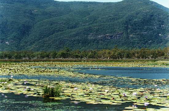 The benefit of seasonal inundation in the peripheral areas of the wetland