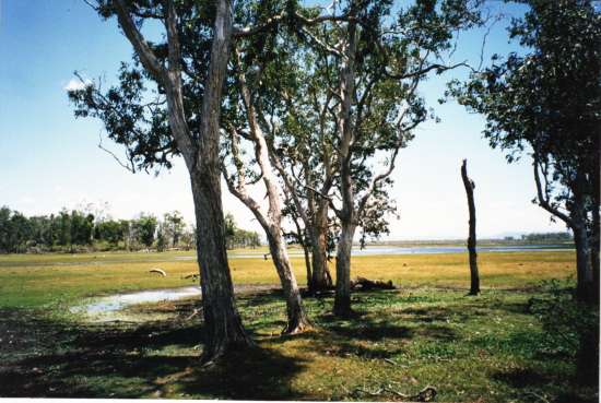 The rich peripheral area