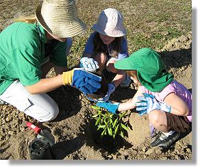 Mayor planting trees with school children on National Tree Day