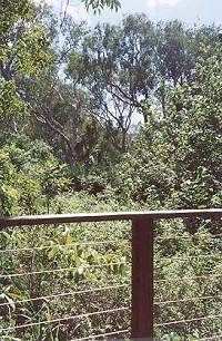 Habitat viewing platform