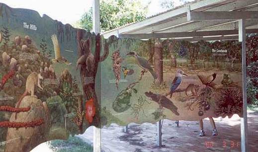 Murals for hills, lowlands, coast, traditional owners and the habitat