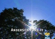 Watch the anderson park movie