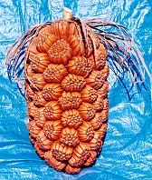 Pandanus whitei Fruit
