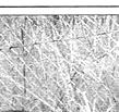 Townsville Bulletin, Friday, March 24, 2000