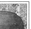 Townsville Bulletin, Friday, March 24, 2000