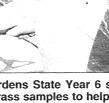 Townsville Bulletin, Friday, March 24, 2000
