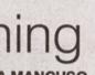 Townsville Bulletin  - Turtles nest on Strand Beach