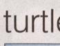 Townsville Bulletin  - Turtles nest on Strand Beach