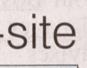 Townsville Bulletin  - Turtles nest on Strand Beach
