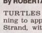 Townsville Bulletin  - Turtles nest on Strand Beach