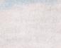 Townsville Bulletin  - Turtles nest on Strand Beach