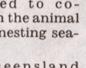 Townsville Bulletin  - Turtles nest on Strand Beach