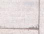 Townsville Bulletin  - Turtles nest on Strand Beach