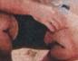 Townsville Bulletin  - Turtles nest on Strand Beach