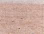 Townsville Bulletin  - Turtles nest on Strand Beach