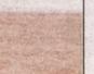 Townsville Bulletin  - Turtles nest on Strand Beach