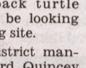 Townsville Bulletin  - Turtles nest on Strand Beach
