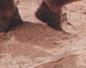 Townsville Bulletin  - Turtles nest on Strand Beach