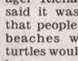 Townsville Bulletin  - Turtles nest on Strand Beach