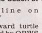 Townsville Bulletin  - Turtles nest on Strand Beach
