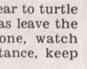 Townsville Bulletin  - Turtles nest on Strand Beach