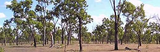 Burdekin Dry Tropics