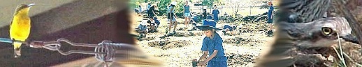Visit out Sustainable Schools